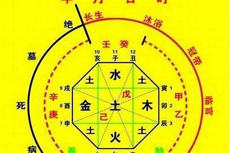 壬水 戊土|八字中命理知識十天干喜忌——壬水